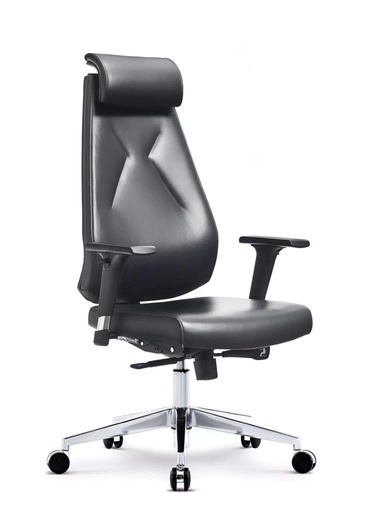 Fauteuil de bureau ergonomique